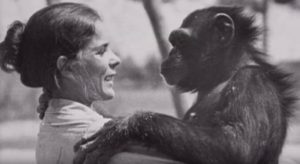 Linda saved his life – 18 years later, she ignores the warnings and the unimaginable happens