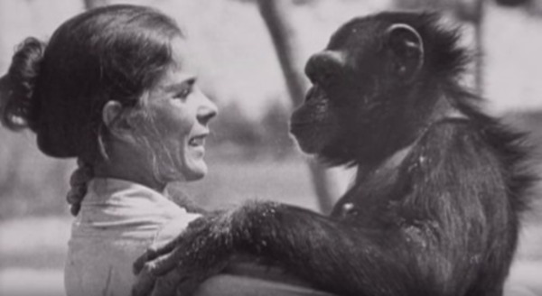 Linda saved his life – 18 years later, she ignores the warnings and the unimaginable happens