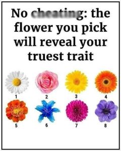 The Flower You Pick Will Reveal Your Truest Trait check first comment