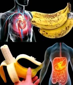 Did you know that eating bananas is elevating…