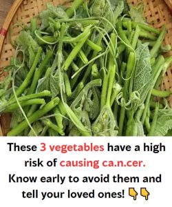 These 3 vegetables have a high risk of causing ca.n.cer. Know early to avoid them and tell your loved ones!
