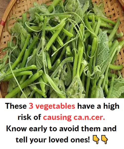These 3 vegetables have a high risk of causing ca.n.cer. Know early to avoid them and tell your loved ones!