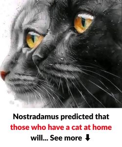 Nostradamus’s predictions about cats in the home