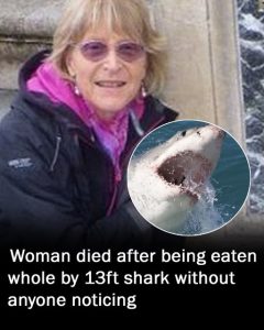 Woman eaten whole by 13ft shark during ocean swim without anyone noticing