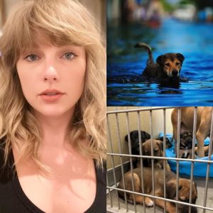 SHOCKING UPDATE: Taylor Swift pours $30 million into Texas flood zone, saves thousands of pets and launches mobile shelter!