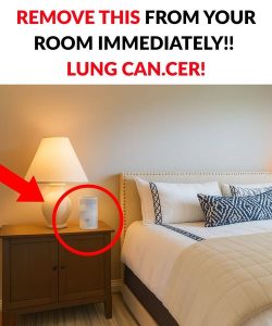 Lung Cancer: 6 Everyday Objects That Harm Your Health