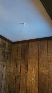 Revive Your Living Space With This Sensational Time-Travel Hack!