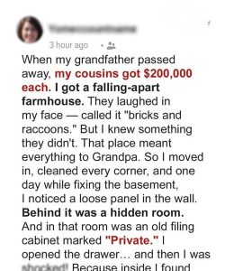 They Mocked My Inheritance from Grandpa — Until They Saw What It Really Was