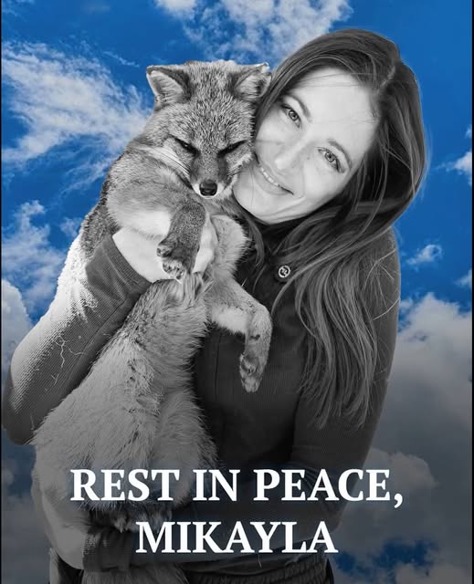 Mikayla Raines, Creator Behind Save a Fox