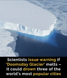 I can’t even imagine what the world would look like…