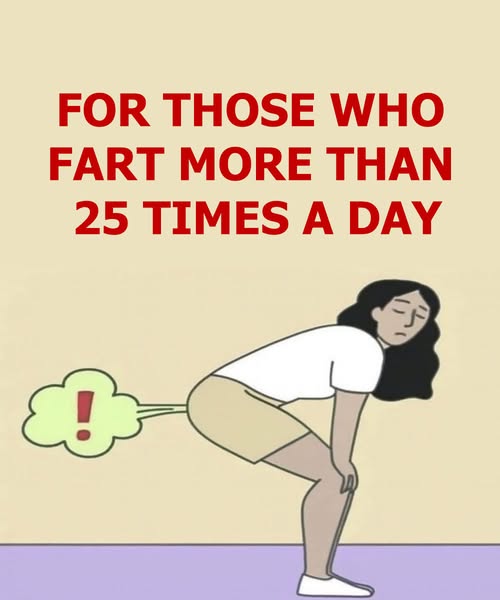For those who fart more than 25 times a day