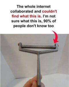 People Are Baffled by This Vintage Kitchen Tool — Do You Know What It Is