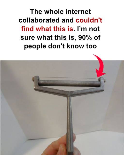 People Are Baffled by This Vintage Kitchen Tool — Do You Know What It Is