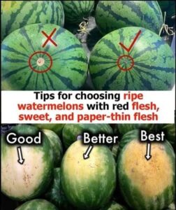 How to pick watermelons that are ripe and have red, sweet, paper-thin skin