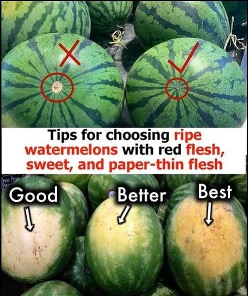 How to pick watermelons that are ripe and have red, sweet, paper-thin skin