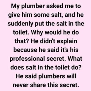 This Overlooked Tip from Plumbers Explains Why Salt Helps Your Toilet
