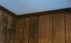 Revive Your Living Space With This Sensational Time-Travel Hack!