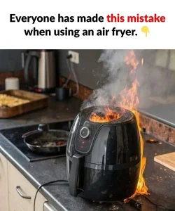 Some recommendations for air fryer users
