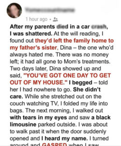 My Aunt Took My Family Home After My Parents Passed — Then a Black Limo Changed Everything