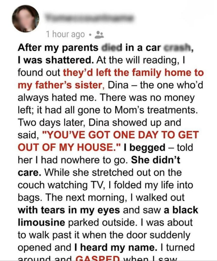 My Aunt Took My Family Home After My Parents Passed — Then a Black Limo Changed Everything