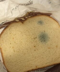 Stale Bread: When It’s Safe to Eat and When to Toss It