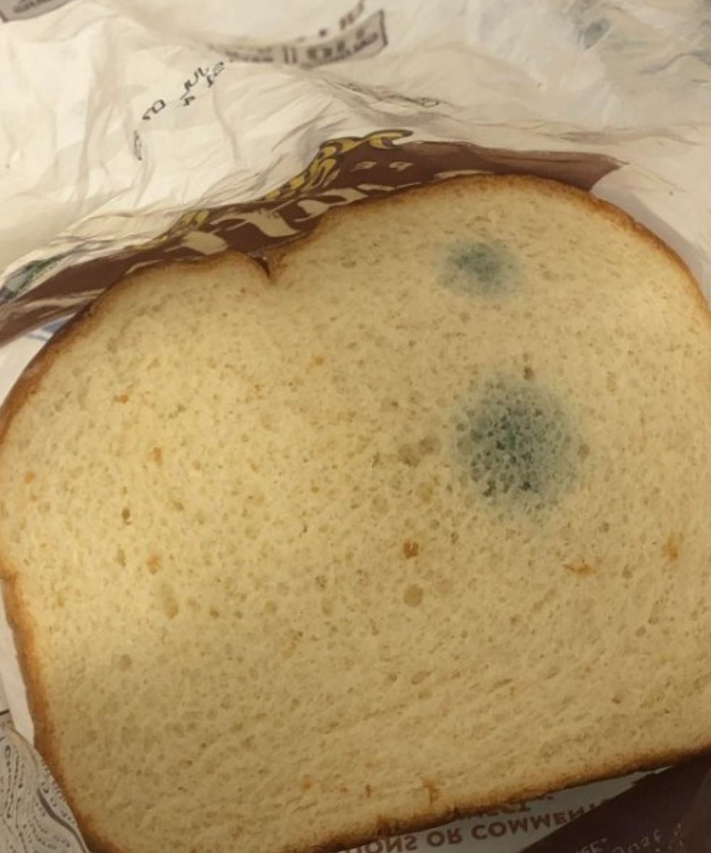 Stale Bread: When It’s Safe to Eat and When to Toss It