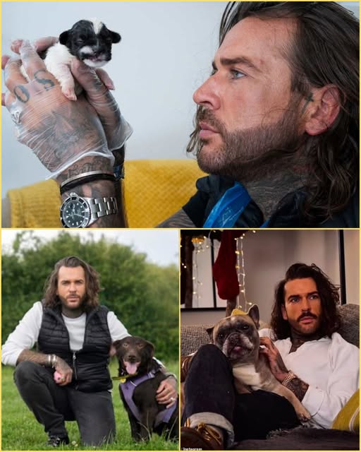 Pete Wicks Slammed for Saying He ‘Prefers Dogs to People’ – Breaks Down in Tears Filming Heart-Wrenching Rescue Dog Documentary!