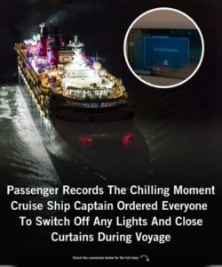 The Horrifying Reason Behind The Request That Cruise Ship Passengers Shut Off Lights And Draw Curtains When Traversing Specific Waters