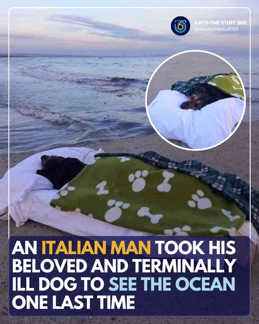 A final trip full of love—this story will bring tears to your eyes.