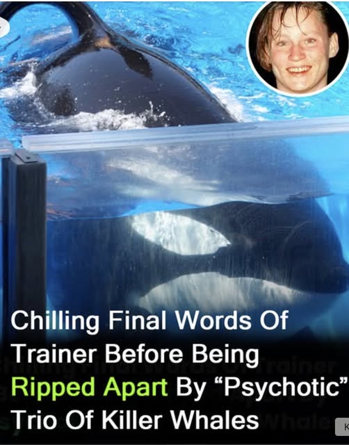 Chilling last words of trainer ripped apart by ‘psychotic’ killer whales