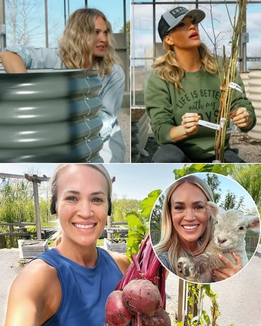Carrie Underwood is facing a battle far from the spotlight—and it’s happening on her own land. The American Idol legend is struggling to keep her mas