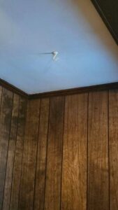 Revive Your Living Space With This Sensational Time-Travel Hack!