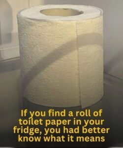 Why a Roll of Toilet Paper in Your Fridge Could Be Trying to Tell You Something