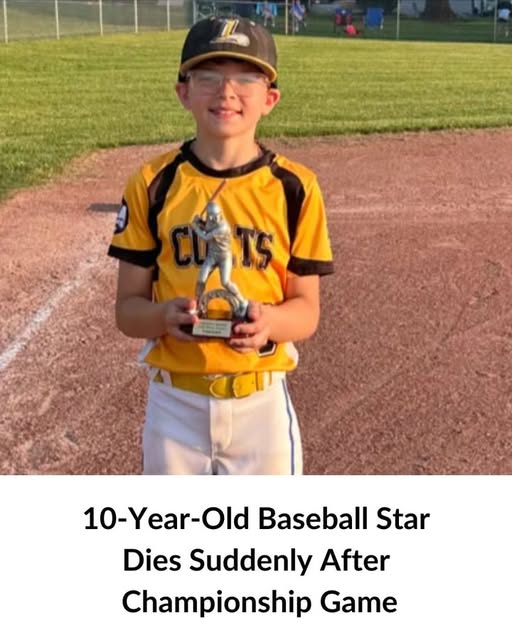 9-year-old friend remembers young Dauphin County baseball star who died suddenly after win