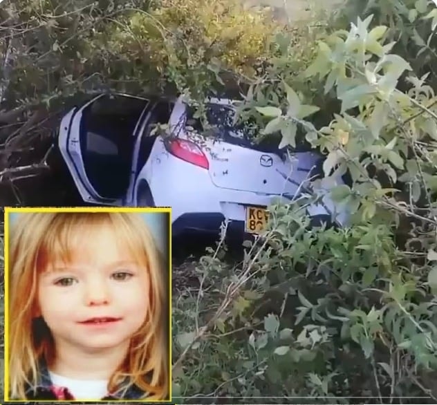 Missing girl found in the woods, her father was the one who…