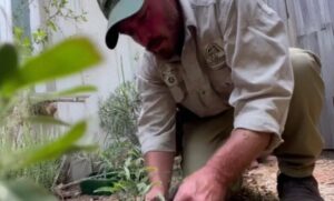 My BIL Mocked My Husband for Playing Gardener, Only for My BIL to Have My Husband as His New Boss Two Days Later