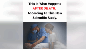 This is what happens after d3ath, according to this new scientific study.