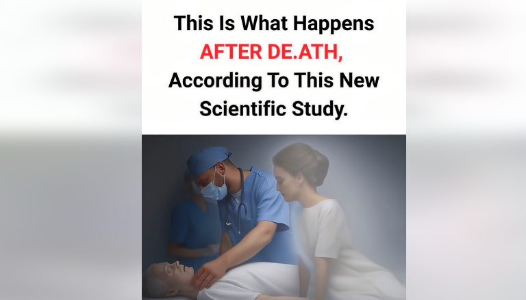 This is what happens after d3ath, according to this new scientific study.