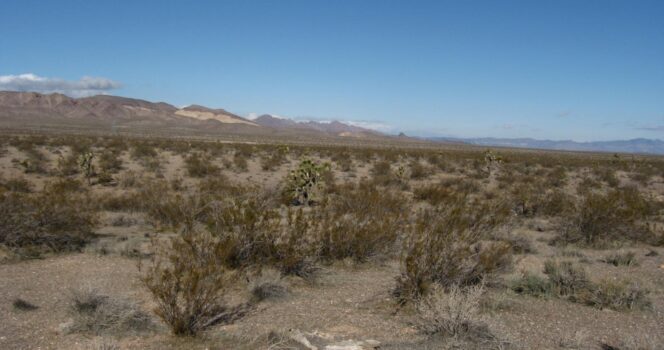 Over 100 human remains found in Nevada desert spark chilling federal investigation