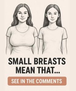 Understanding the Relationship Between Breast Size and Hormonal Health