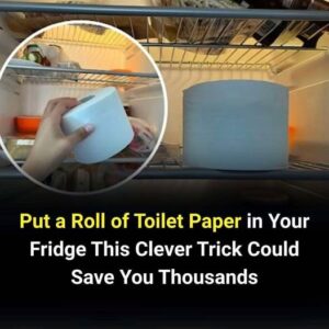 Why You Should Put a Roll of Toilet Paper in Your Fridge