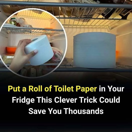 Why You Should Put a Roll of Toilet Paper in Your Fridge