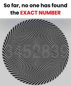 A number is hidden in this optical illusion — and not everyone noticed it the same way