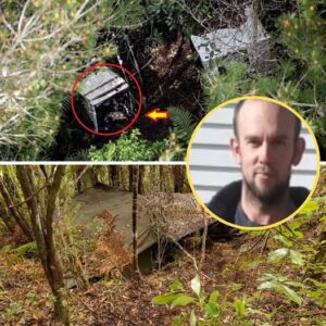 “WE DIDN’T DARE LOOK TWICE” — Police te:rrified after discovering three metal containers hidden in the bushes at Tom Phillips’s hideout, with what was inside so h0rrifying they couldn’t bring themselves to look again