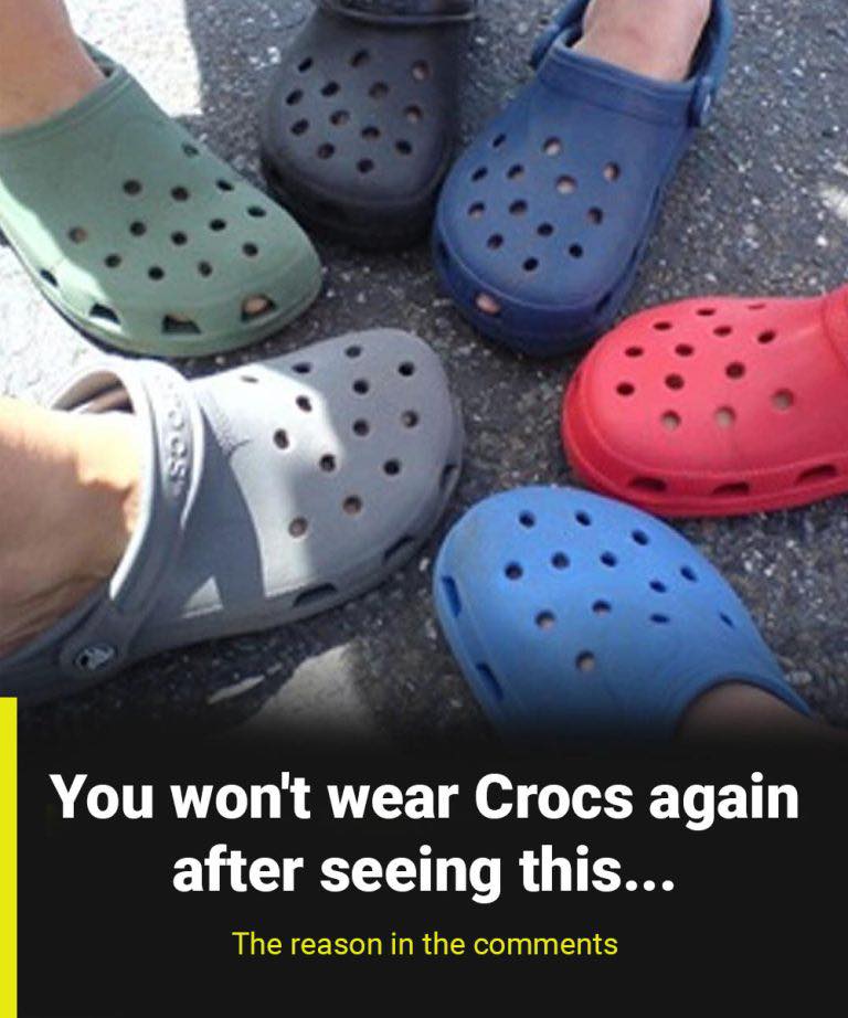 I thought they were harmless… but what I discovered about them sh0cked me