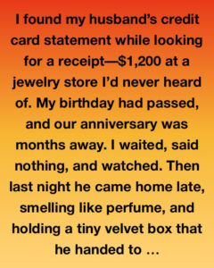 The Velvet Box And The Hidden Truth!