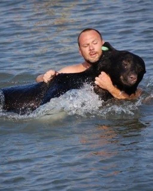 This Frightened Bear Was Drowning in the River, but You Won’t Believe What This Man Did!