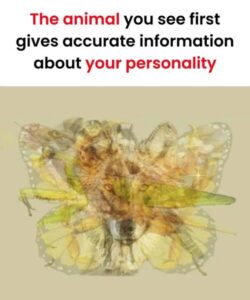 The animal you see first gives accurate information about your personality