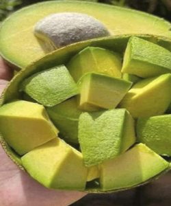 Doctors reveal that eating avocado causes in
