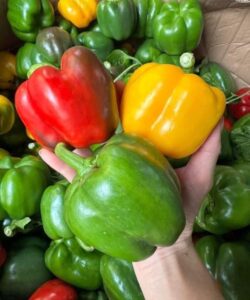 Doctors Reveal That Eating Bell Peppers Frequently Causes..